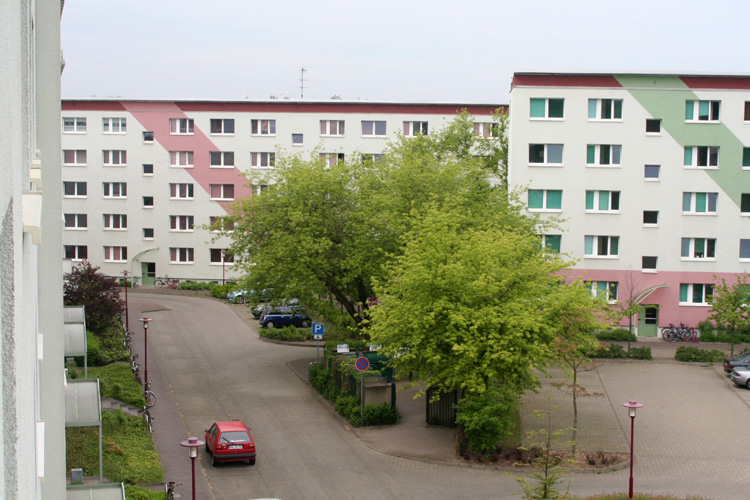 Single party frankfurt oder